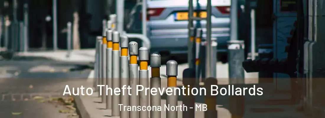  Auto Theft Prevention Bollards Transcona North - MB