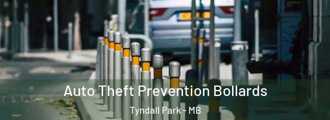  Auto Theft Prevention Bollards Tyndall Park - MB