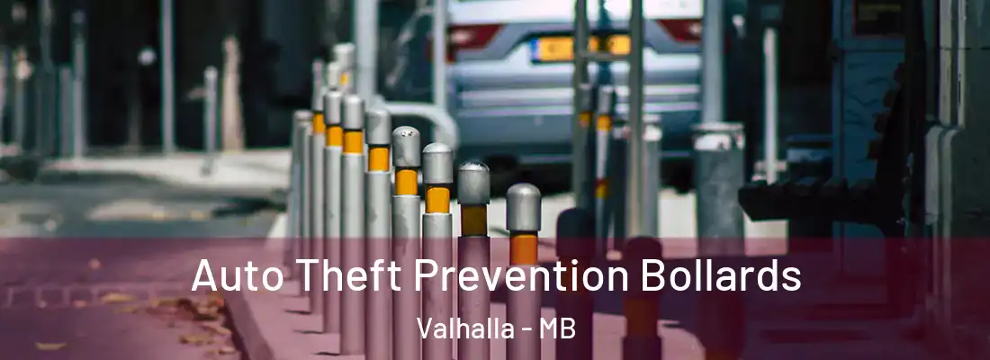  Auto Theft Prevention Bollards Valhalla - MB