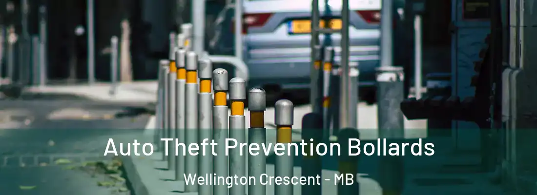  Auto Theft Prevention Bollards Wellington Crescent - MB