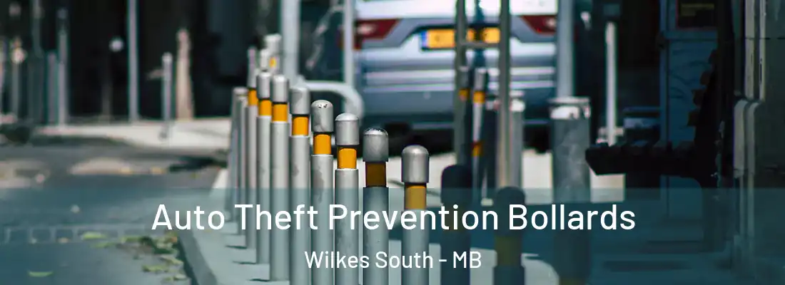  Auto Theft Prevention Bollards Wilkes South - MB