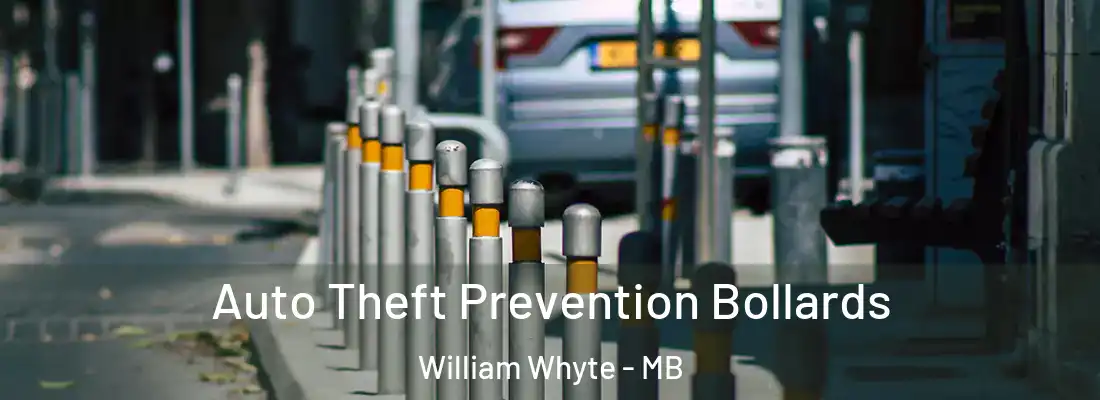  Auto Theft Prevention Bollards William Whyte - MB