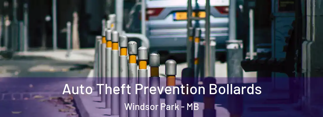  Auto Theft Prevention Bollards Windsor Park - MB