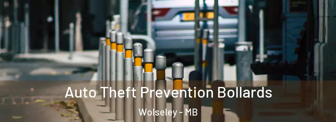  Auto Theft Prevention Bollards Wolseley - MB