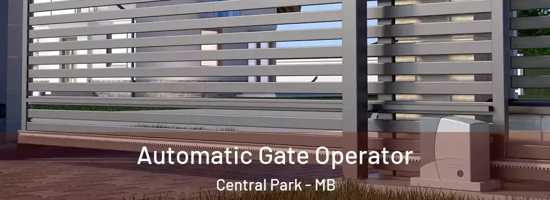  Automatic Gate Operator Central Park - MB