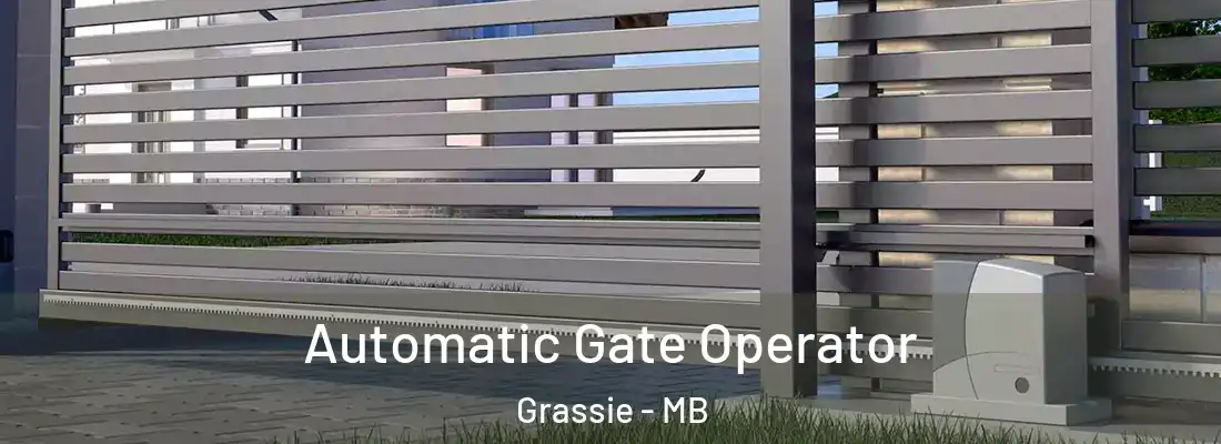  Automatic Gate Operator Grassie - MB
