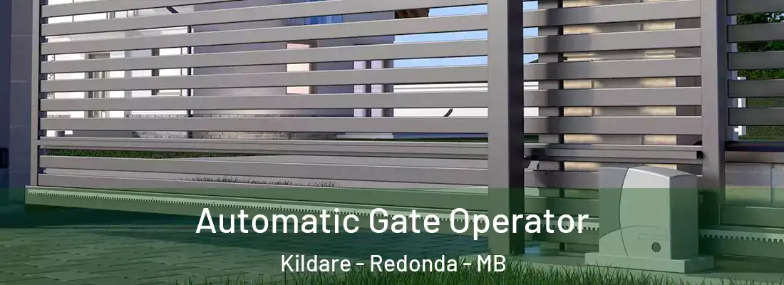  Automatic Gate Operator Kildare - Redonda - MB