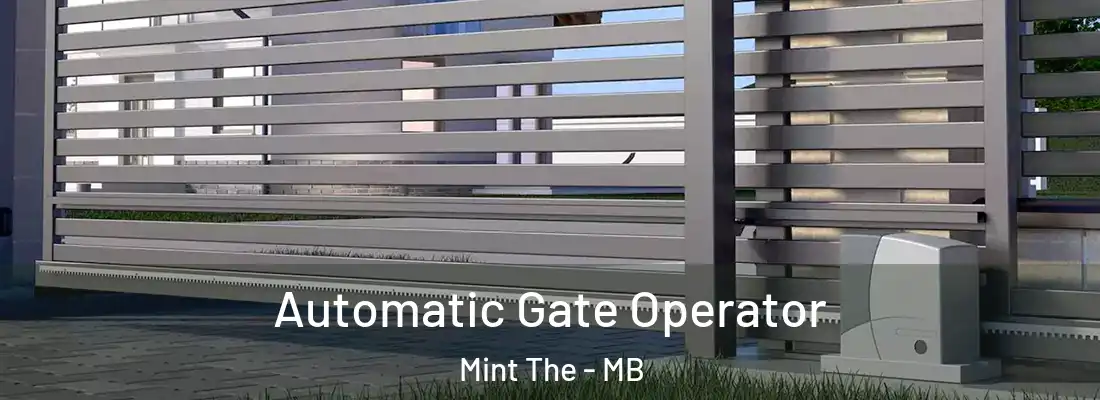  Automatic Gate Operator Mint The - MB