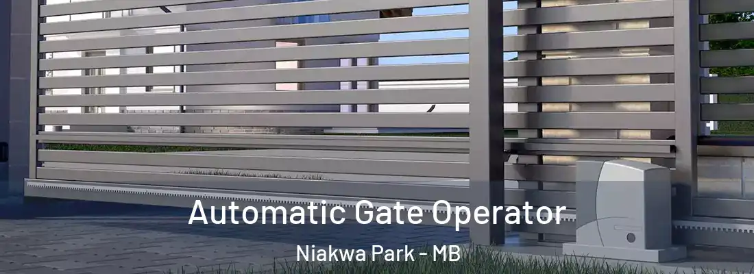  Automatic Gate Operator Niakwa Park - MB
