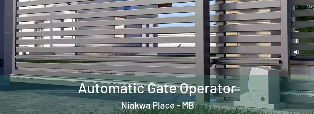  Automatic Gate Operator Niakwa Place - MB