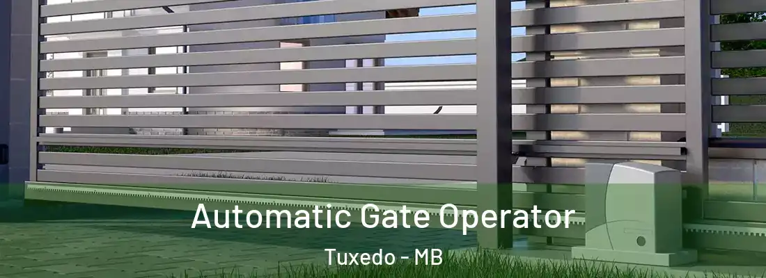  Automatic Gate Operator Tuxedo - MB