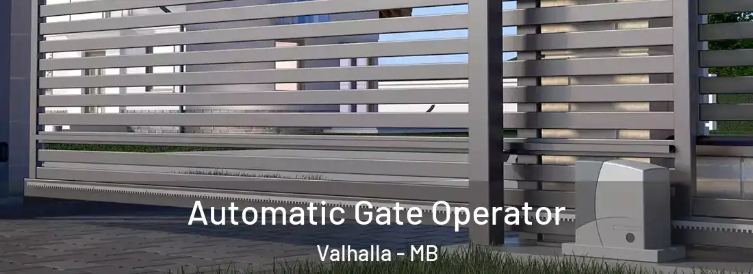  Automatic Gate Operator Valhalla - MB