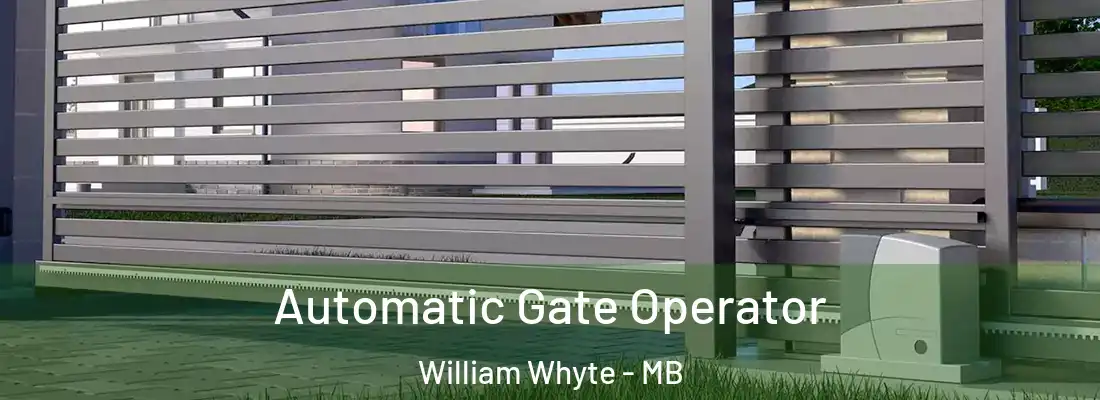  Automatic Gate Operator William Whyte - MB