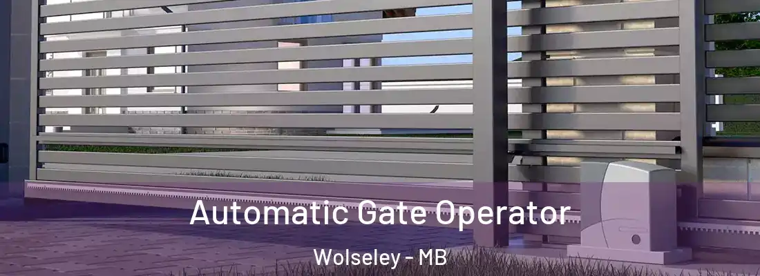  Automatic Gate Operator Wolseley - MB