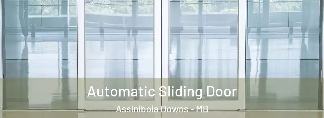  Automatic Sliding Door Assiniboia Downs - MB