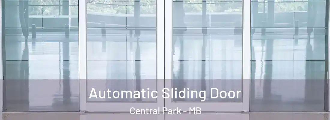  Automatic Sliding Door Central Park - MB