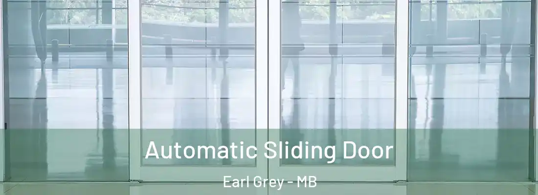  Automatic Sliding Door Earl Grey - MB