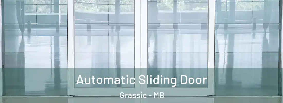  Automatic Sliding Door Grassie - MB