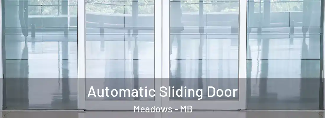  Automatic Sliding Door Meadows - MB