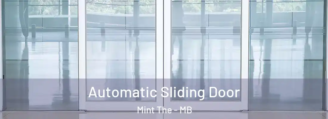  Automatic Sliding Door Mint The - MB