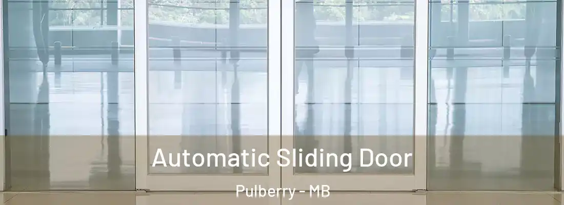  Automatic Sliding Door Pulberry - MB