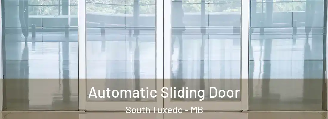  Automatic Sliding Door South Tuxedo - MB