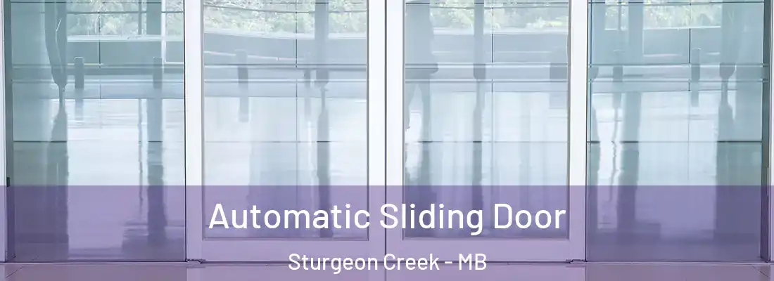  Automatic Sliding Door Sturgeon Creek - MB