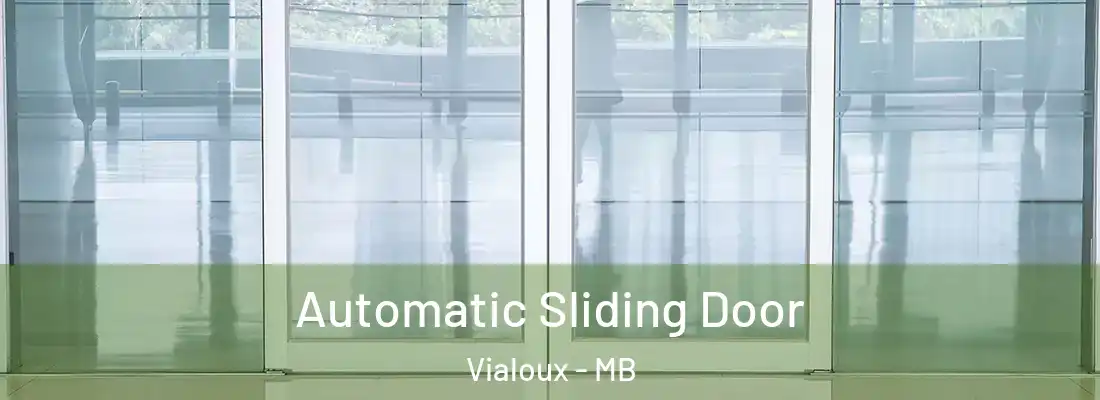  Automatic Sliding Door Vialoux - MB