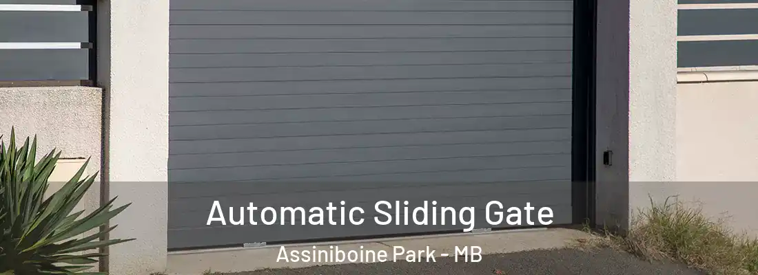  Automatic Sliding Gate Assiniboine Park - MB