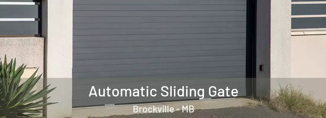  Automatic Sliding Gate Brockville - MB