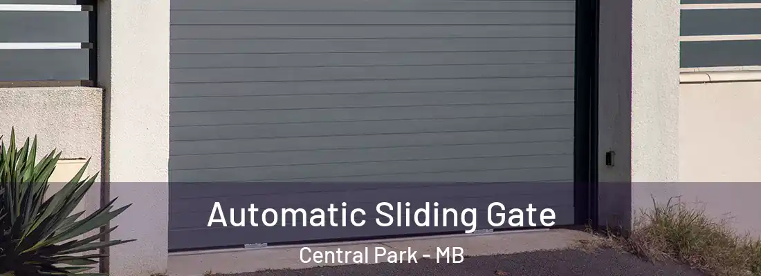 Automatic Sliding Gate Central Park - MB