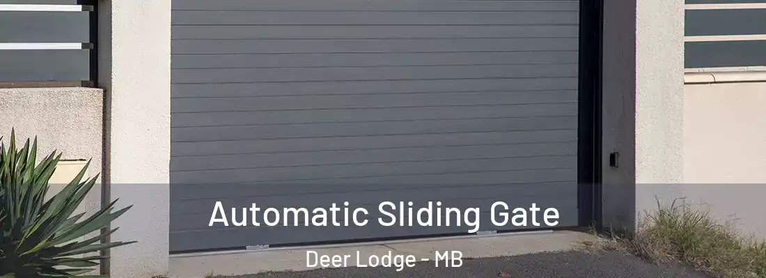  Automatic Sliding Gate Deer Lodge - MB
