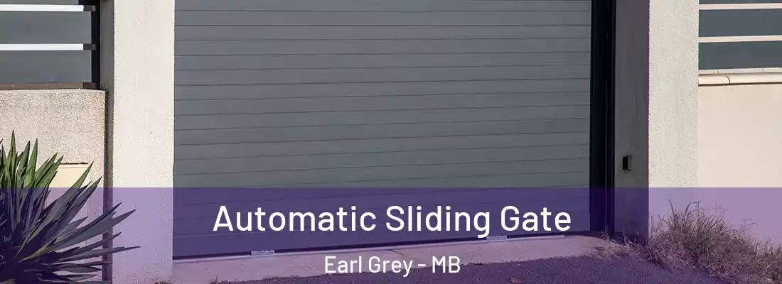 Automatic Sliding Gate Earl Grey - MB