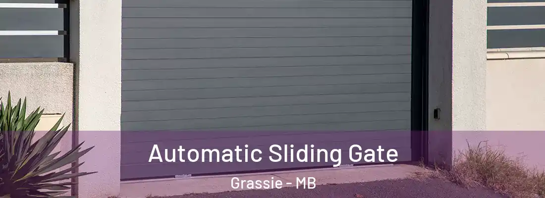  Automatic Sliding Gate Grassie - MB