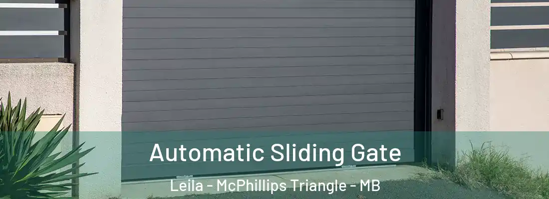  Automatic Sliding Gate Leila - McPhillips Triangle - MB