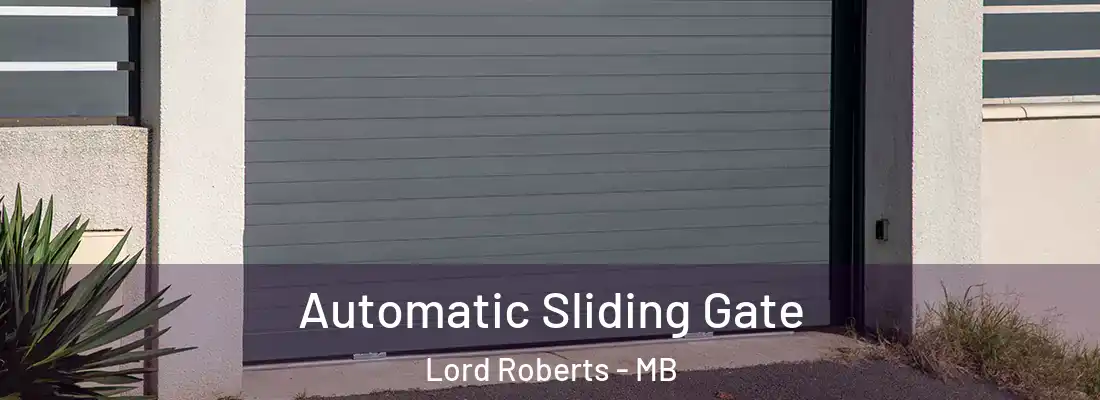  Automatic Sliding Gate Lord Roberts - MB