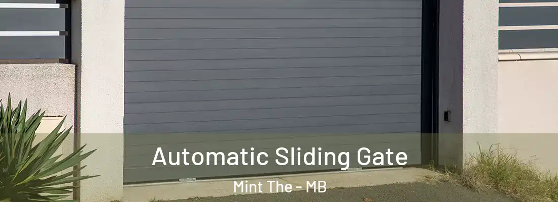  Automatic Sliding Gate Mint The - MB