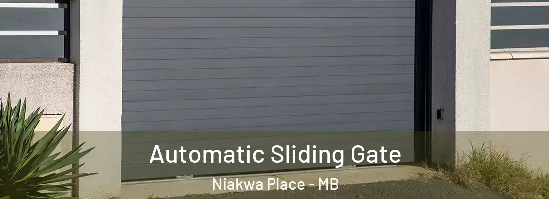  Automatic Sliding Gate Niakwa Place - MB