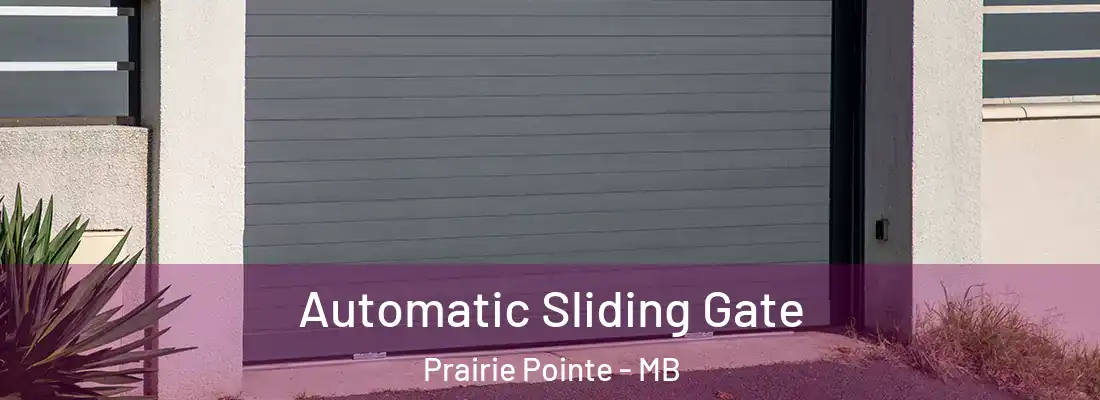  Automatic Sliding Gate Prairie Pointe - MB