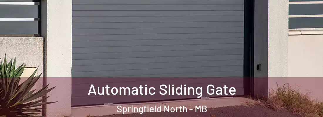  Automatic Sliding Gate Springfield North - MB
