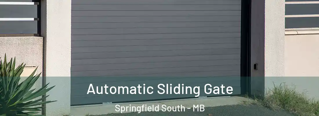  Automatic Sliding Gate Springfield South - MB