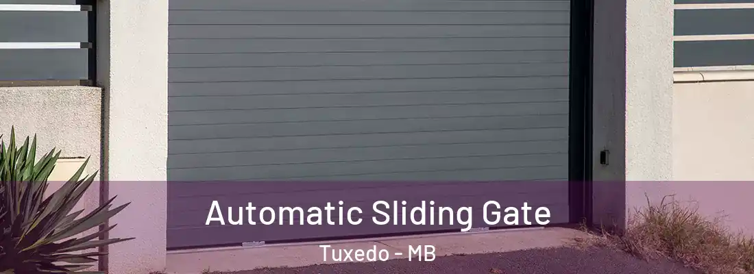  Automatic Sliding Gate Tuxedo - MB