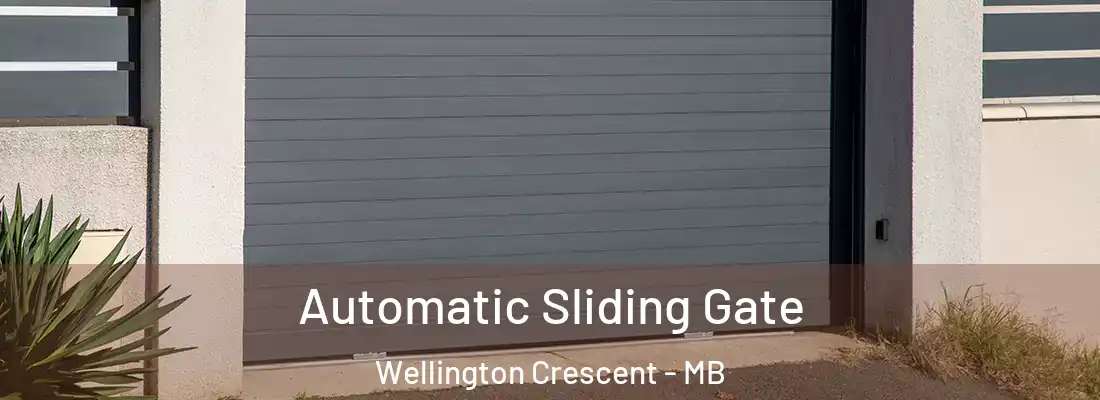  Automatic Sliding Gate Wellington Crescent - MB