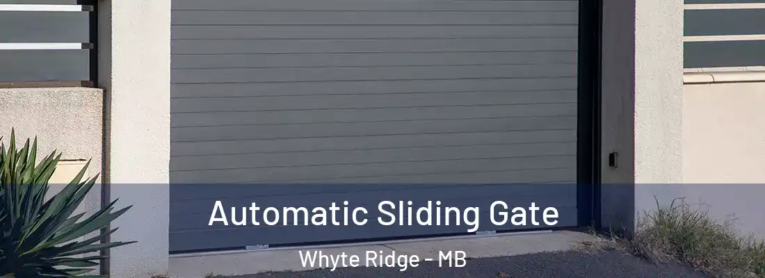  Automatic Sliding Gate Whyte Ridge - MB
