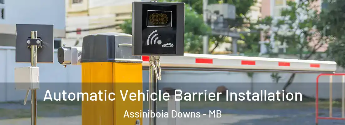  Automatic Vehicle Barrier Installation Assiniboia Downs - MB