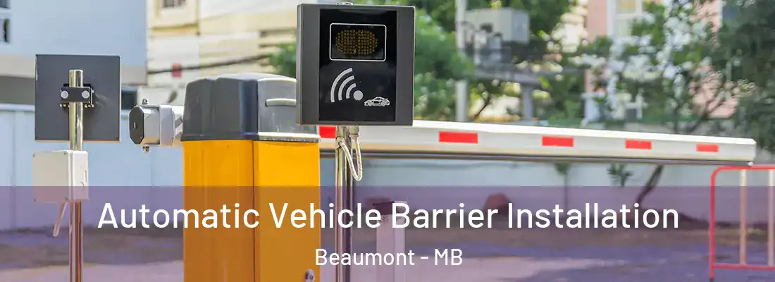  Automatic Vehicle Barrier Installation Beaumont - MB