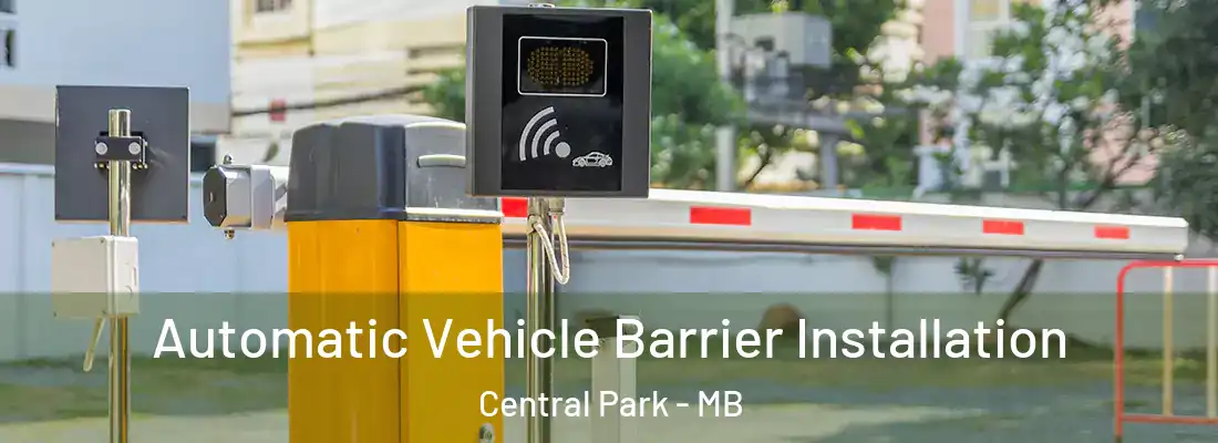 Automatic Vehicle Barrier Installation Central Park - MB