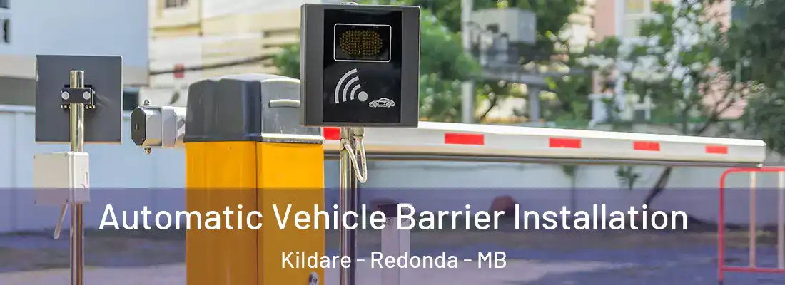  Automatic Vehicle Barrier Installation Kildare - Redonda - MB