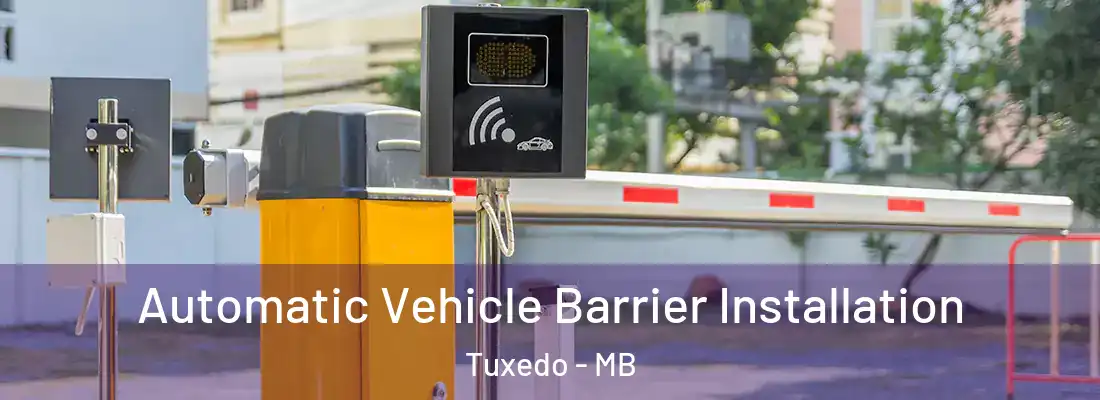  Automatic Vehicle Barrier Installation Tuxedo - MB
