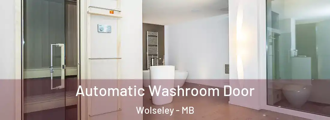  Automatic Washroom Door Wolseley - MB
